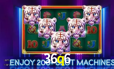 Flash Promotion 36q6